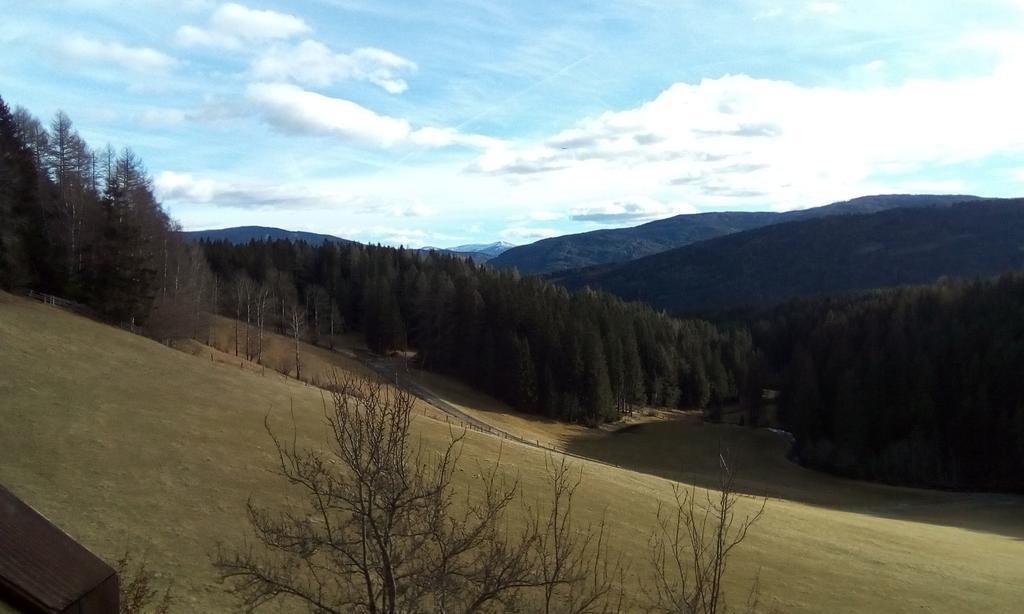 Ferienwohnungen Bachergut Mariapfarr Εξωτερικό φωτογραφία